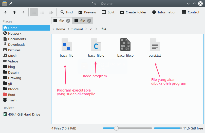 C overwrite file