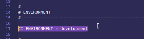 ci environment variable