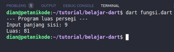 Program Fungsi pada Dart