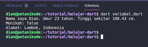 Program variabel dan tipe data dalam Dart