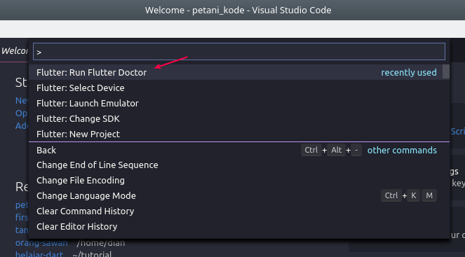 Как создать flutter проект в vs code