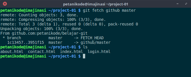git fetch with username and password