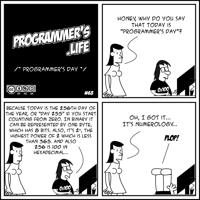 Apa itu Hari Programmer  Internasional 