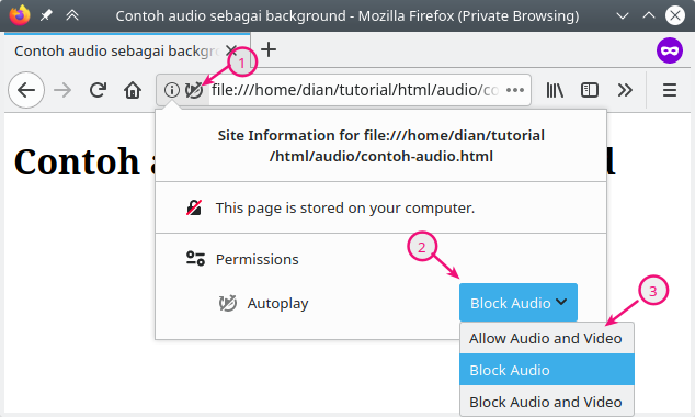 Autoplay di Firefox