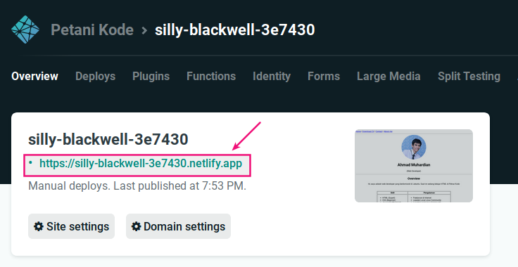 Alamat domain app di netlify
