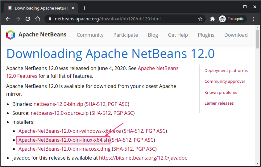 download netbeans