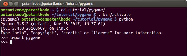 Pygame mixer