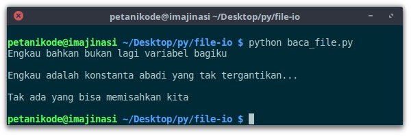 Disable path length limit python что это