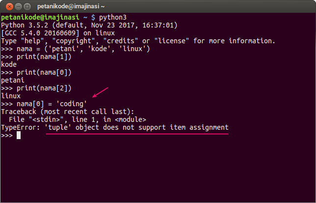 Error mengubah nilai tuple